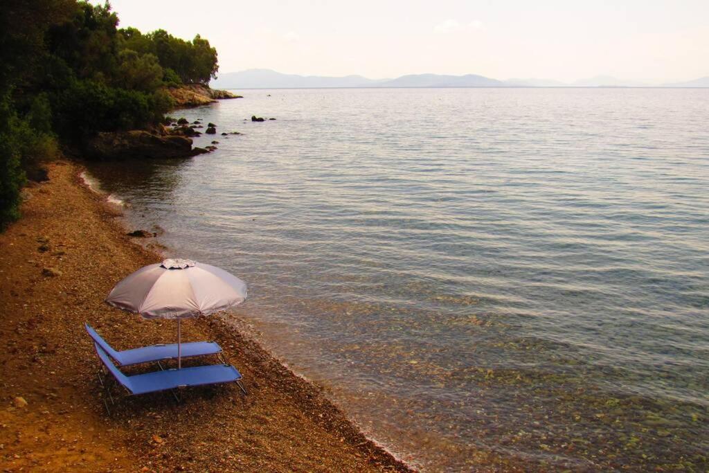 Christie'S Ground Floor Apartment By The Sea Kato Gatzea Bagian luar foto
