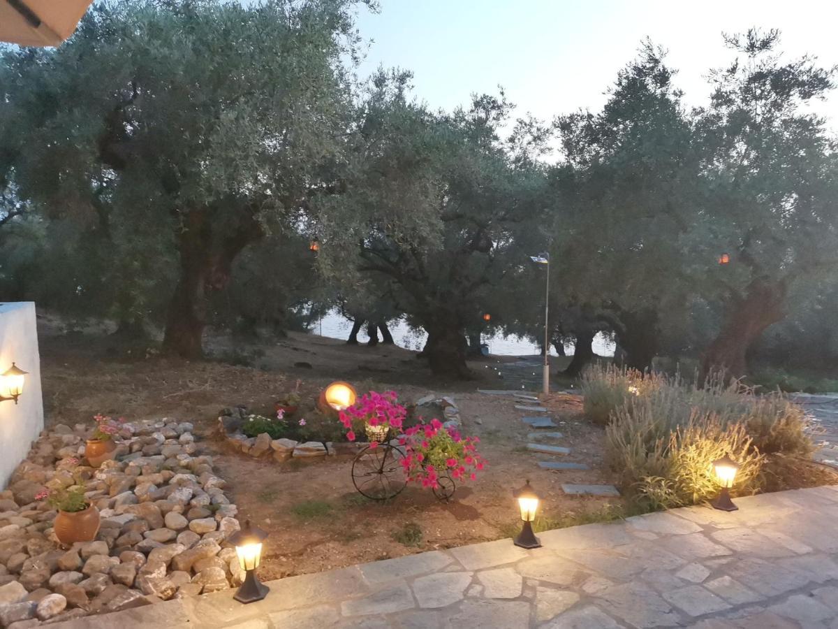 Christie'S Ground Floor Apartment By The Sea Kato Gatzea Bagian luar foto